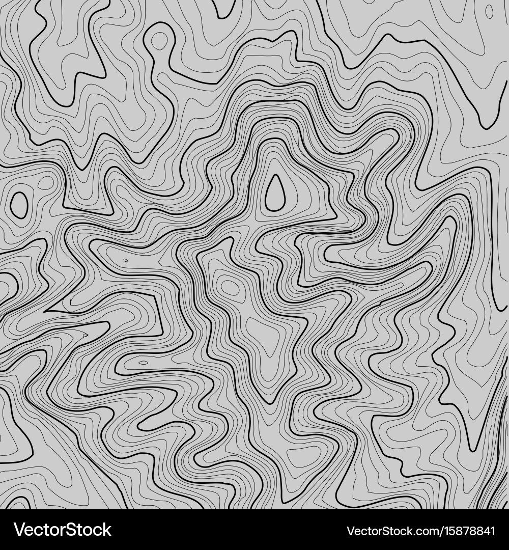 Topographic map background with space for copy Vector Image