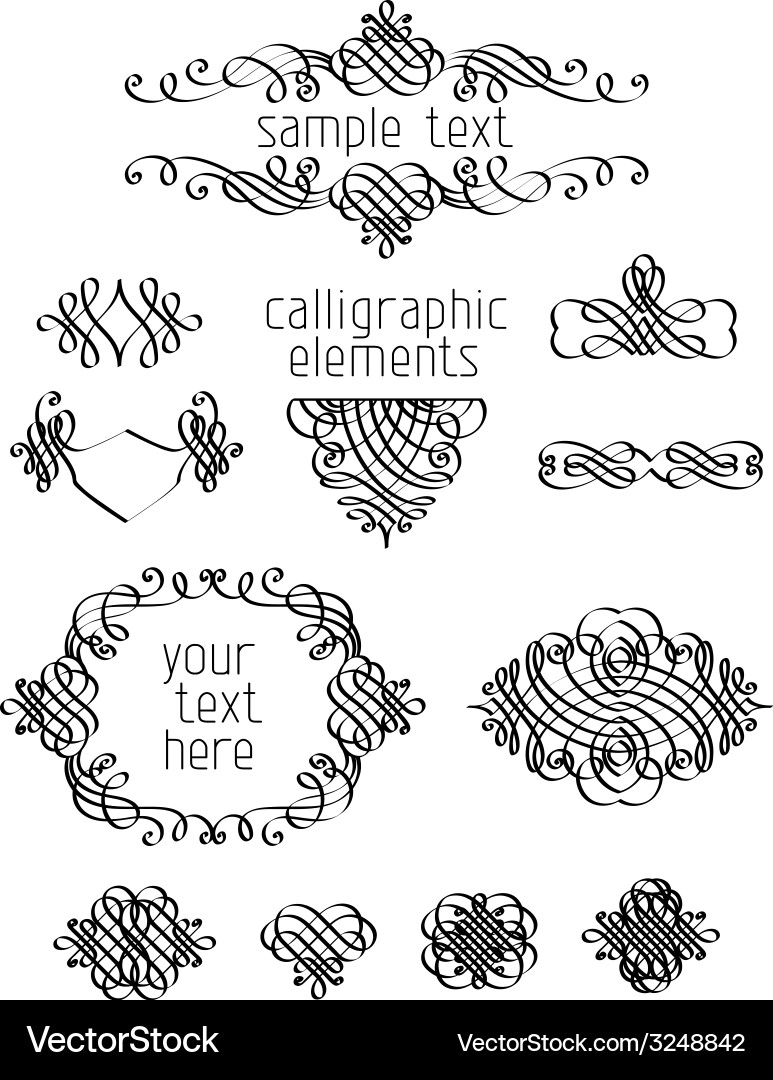 Calligraphic Swirls & Flourishes vector image