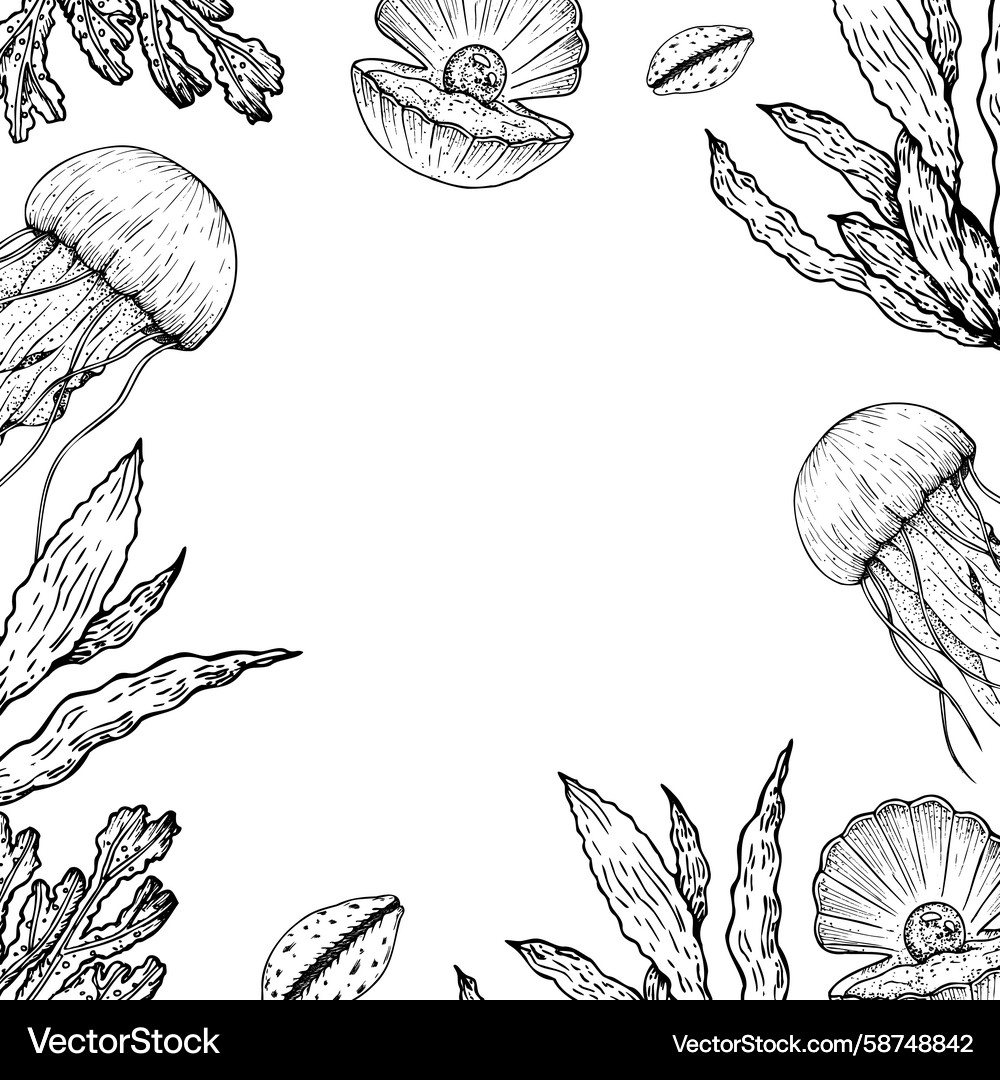 Ocean Seashell Frame with Pearl Vector Image
