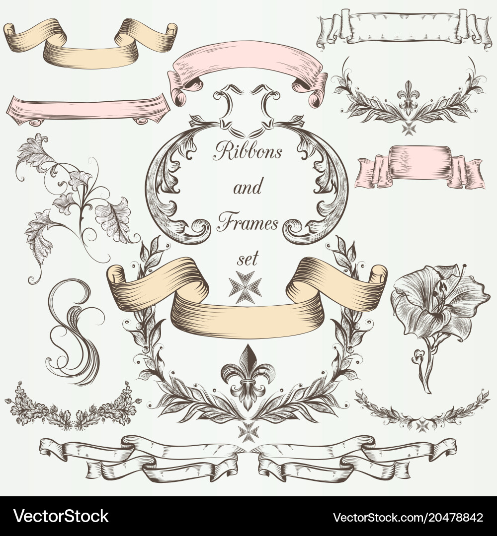 Set of calligraphic elements for design Vector Image