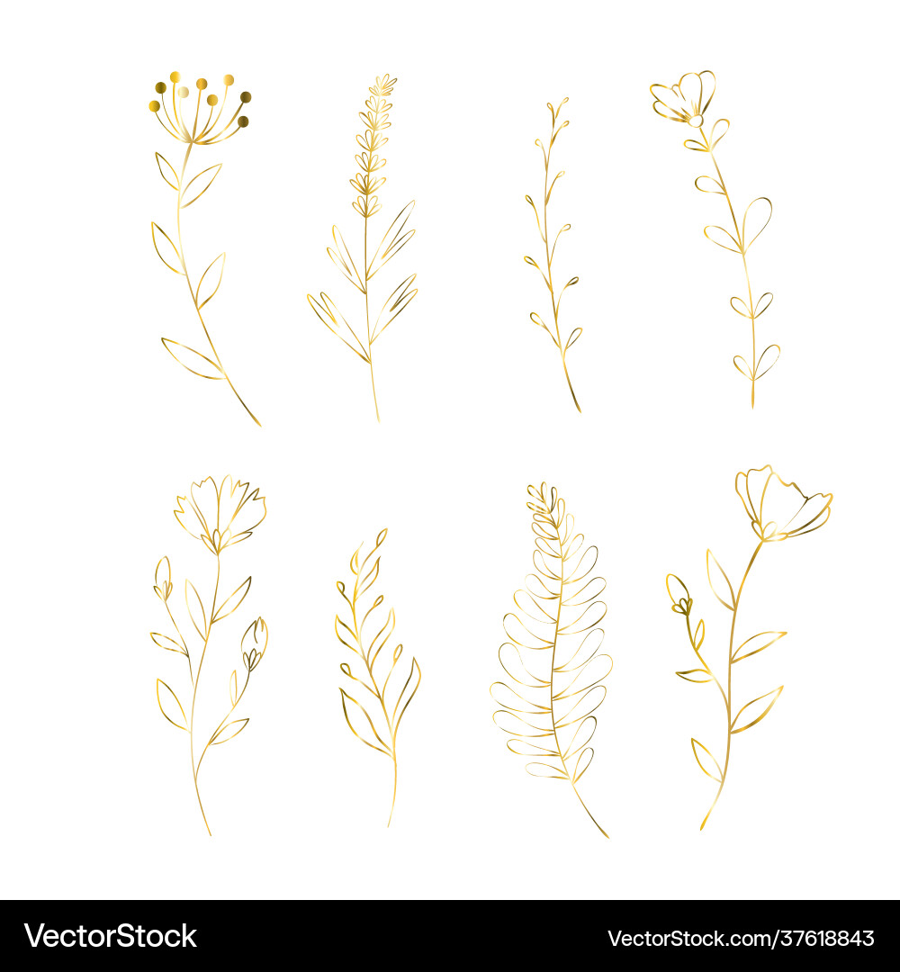 Set goldene Blumen Dekoration florale Elemente Set goldene Blumen Dekoration florale Elemente vektorbild