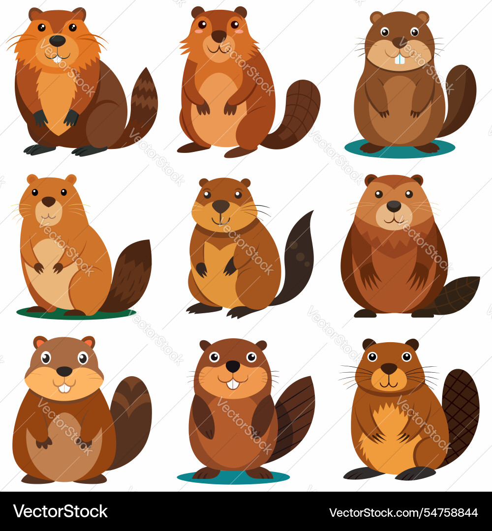 Funny beaver character in different actions big Funny beaver character in different actions big Vector Image