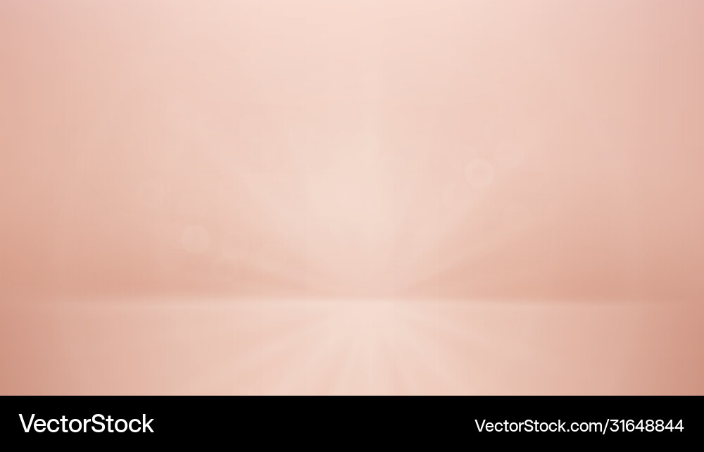 Soft Bokeh Background with Light Rays vector image