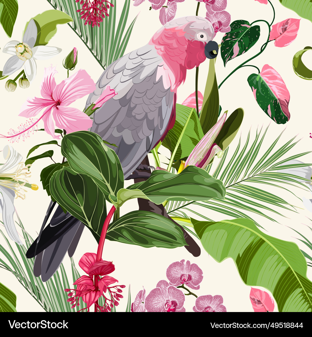 Tropical Parrot Floral Pattern Vector Image