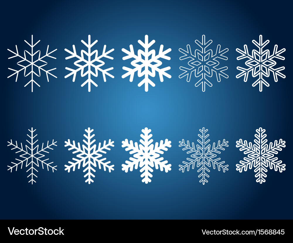 Elegant Snowflake Collection Vector Image