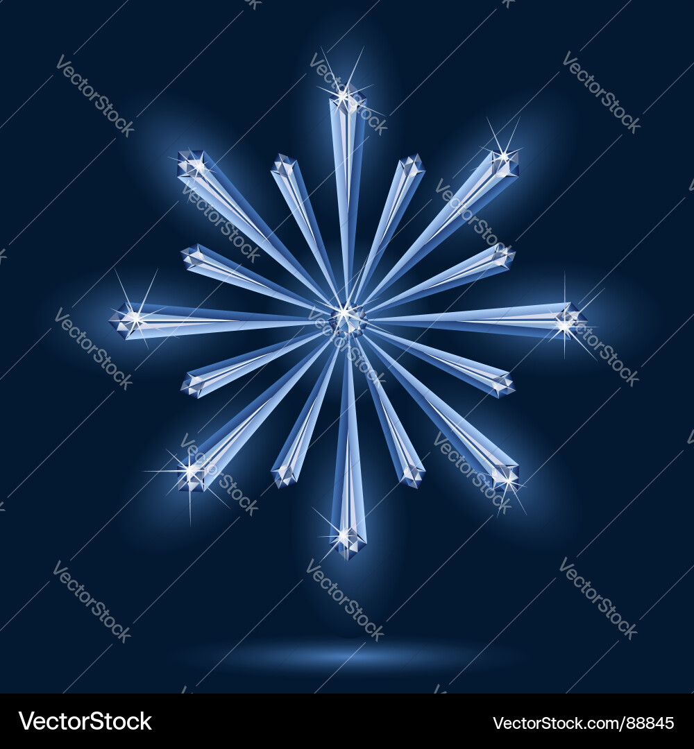 Luminous Snowflake Gem Vector Image
