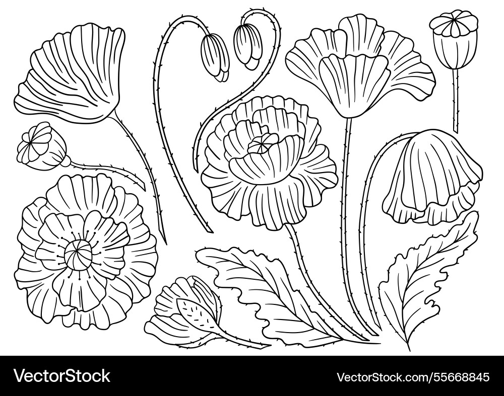 Set of color in hand draw style Vector Image