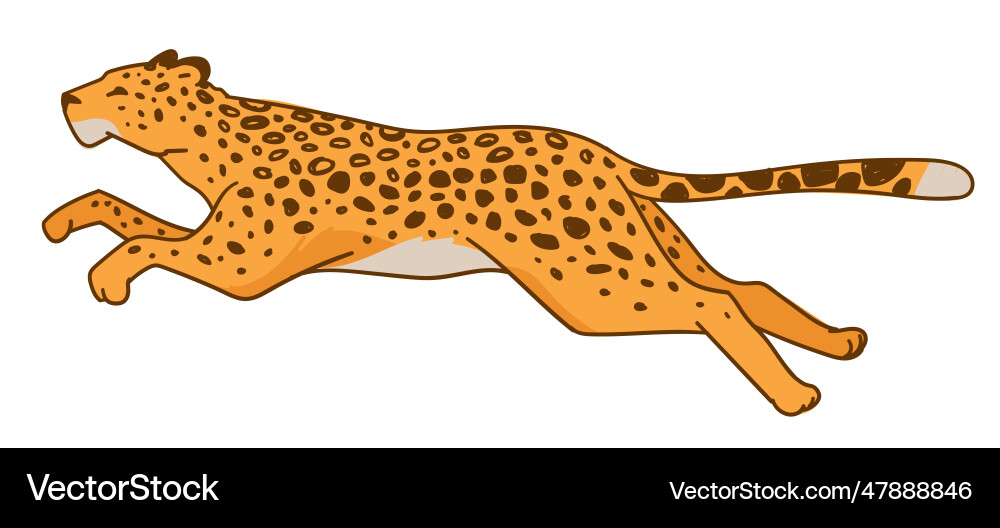 Running leopard or speedy cheetah predator animal vector image