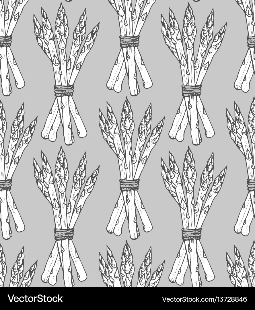 Seamless pattern with sketch style asparagus bunch Seamless pattern with sketch style asparagus bunch vector image