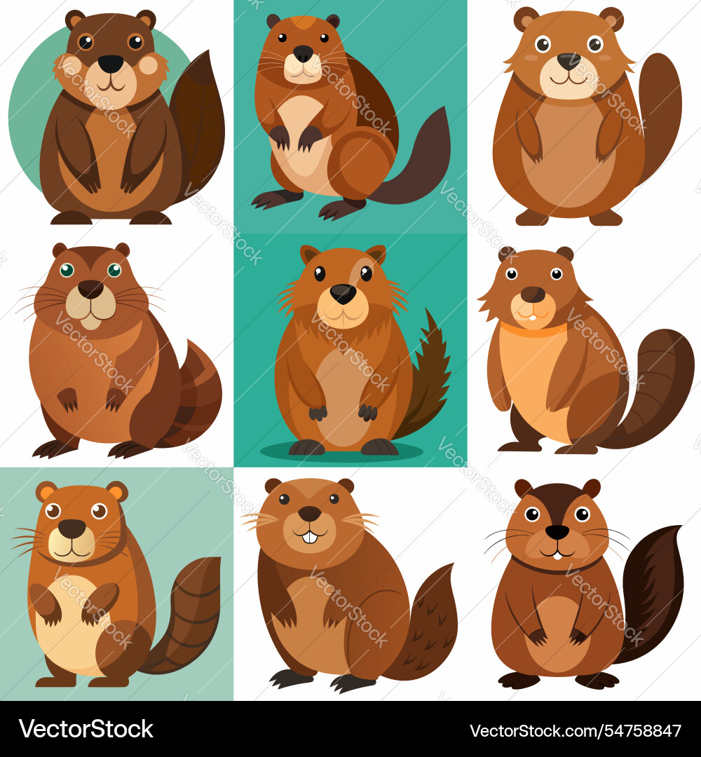 Funny beaver character in different actions big Vector Image