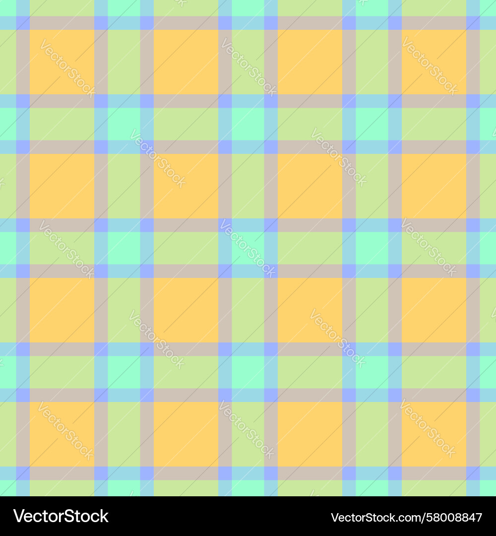 Nostalgic Check Fabric Pattern Vector Image