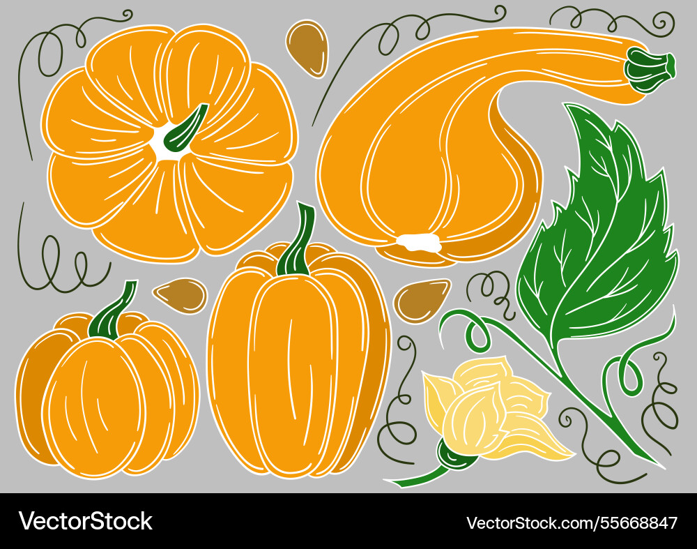 Set of color in hand draw style vector image