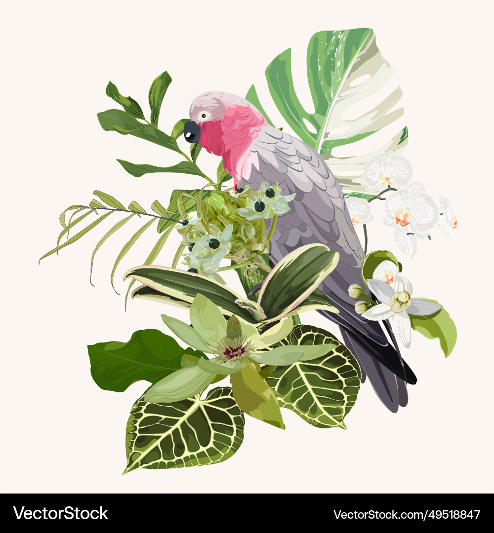 Sommer-Design mit rosa Papageien-Vogel tropische Sommer-Design mit rosa Papageien-Vogel tropische vektorbild