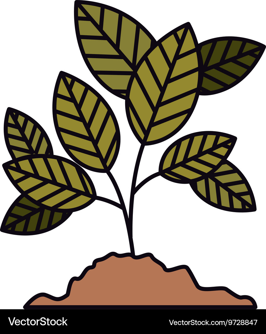 Tree branch with leaves isolated icon design Vector Image