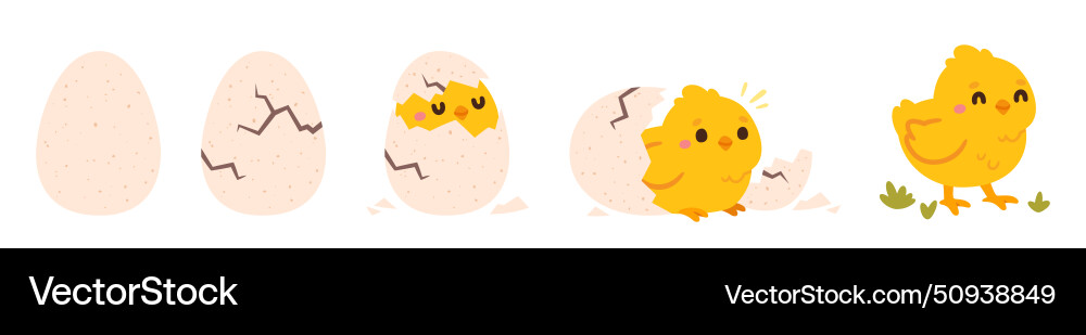 Chicken hatching easter cute chick hatched Chicken hatching easter cute chick hatched vector image