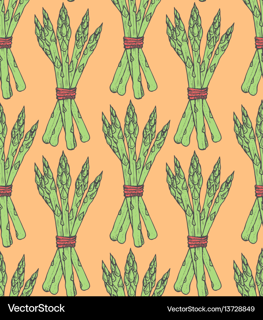 Seamless pattern with sketch style asparagus bunch Seamless pattern with sketch style asparagus bunch vector image
