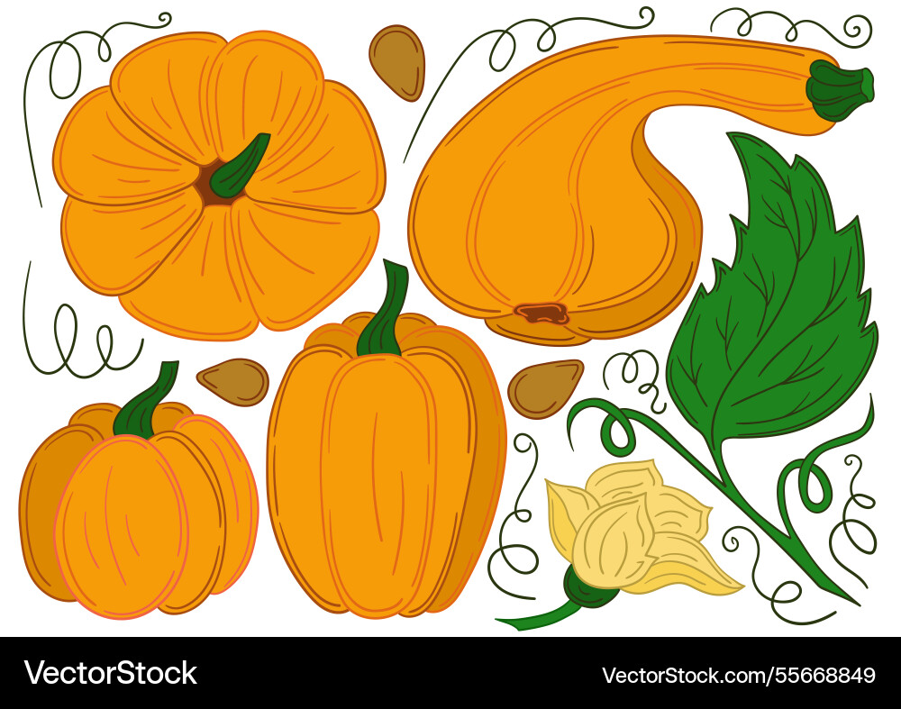 Set of color in hand draw style Set of color in hand draw style vector image