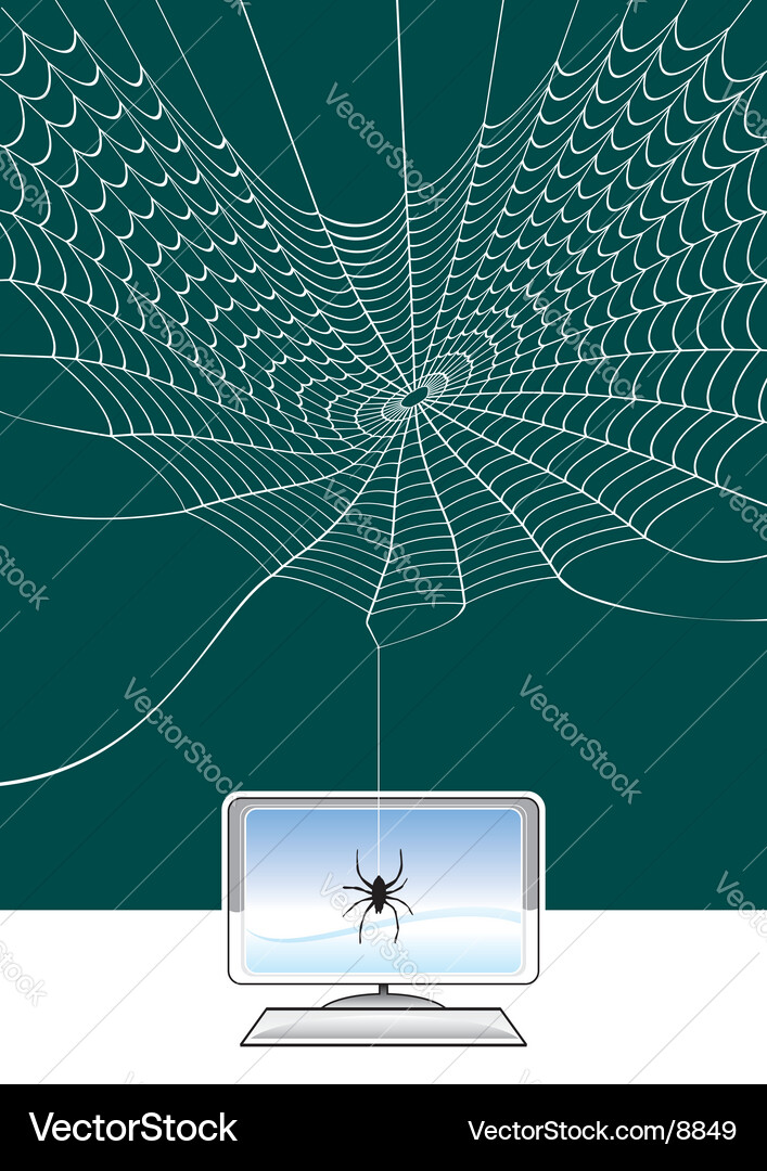 Spider Web Network Connection Vector Image