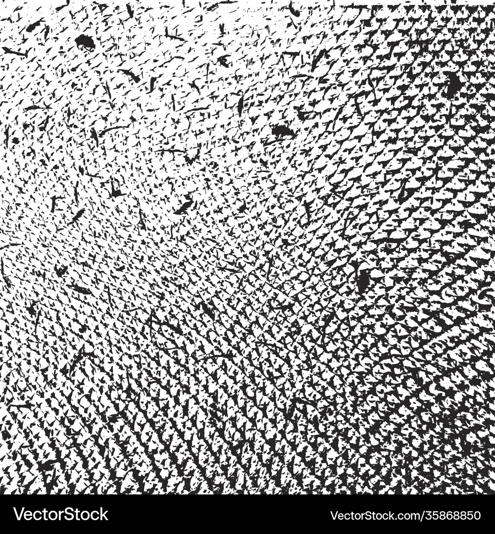 Distress overlay texture Distress overlay texture vector image