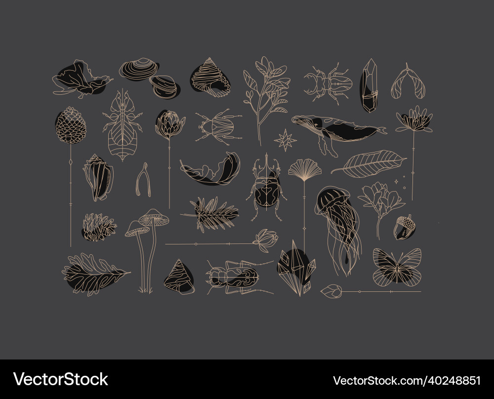 Art deco flora fauna elements gray Art deco flora fauna elements gray vector image