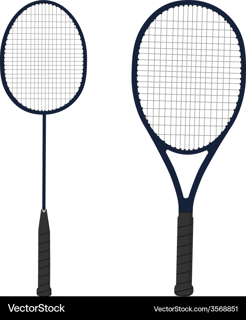 Tennis and badminton racket vector image