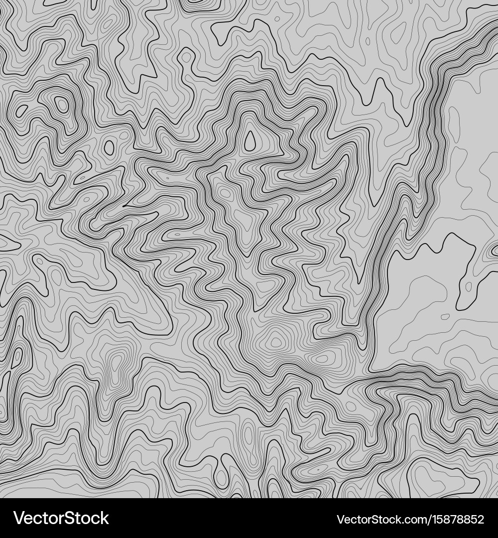 Topographic map background with space for copy Vector Image