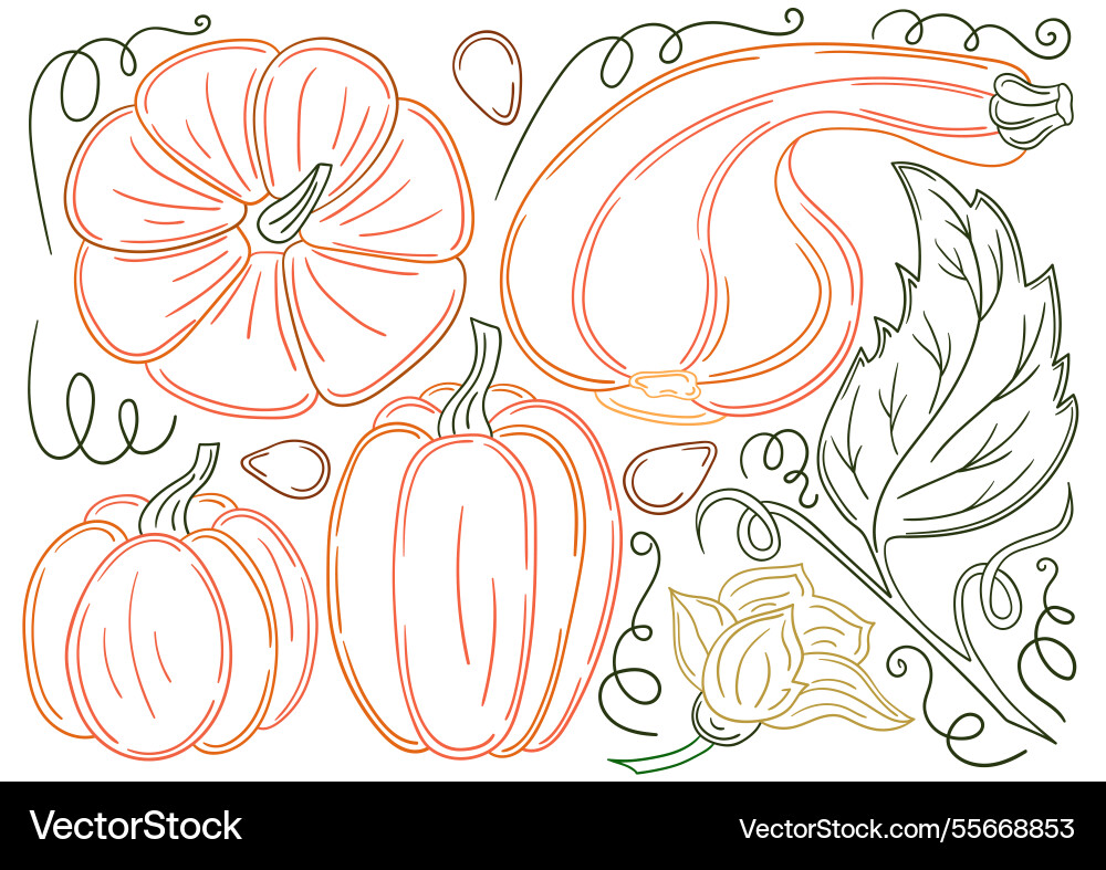 Set of color in hand draw style vector image