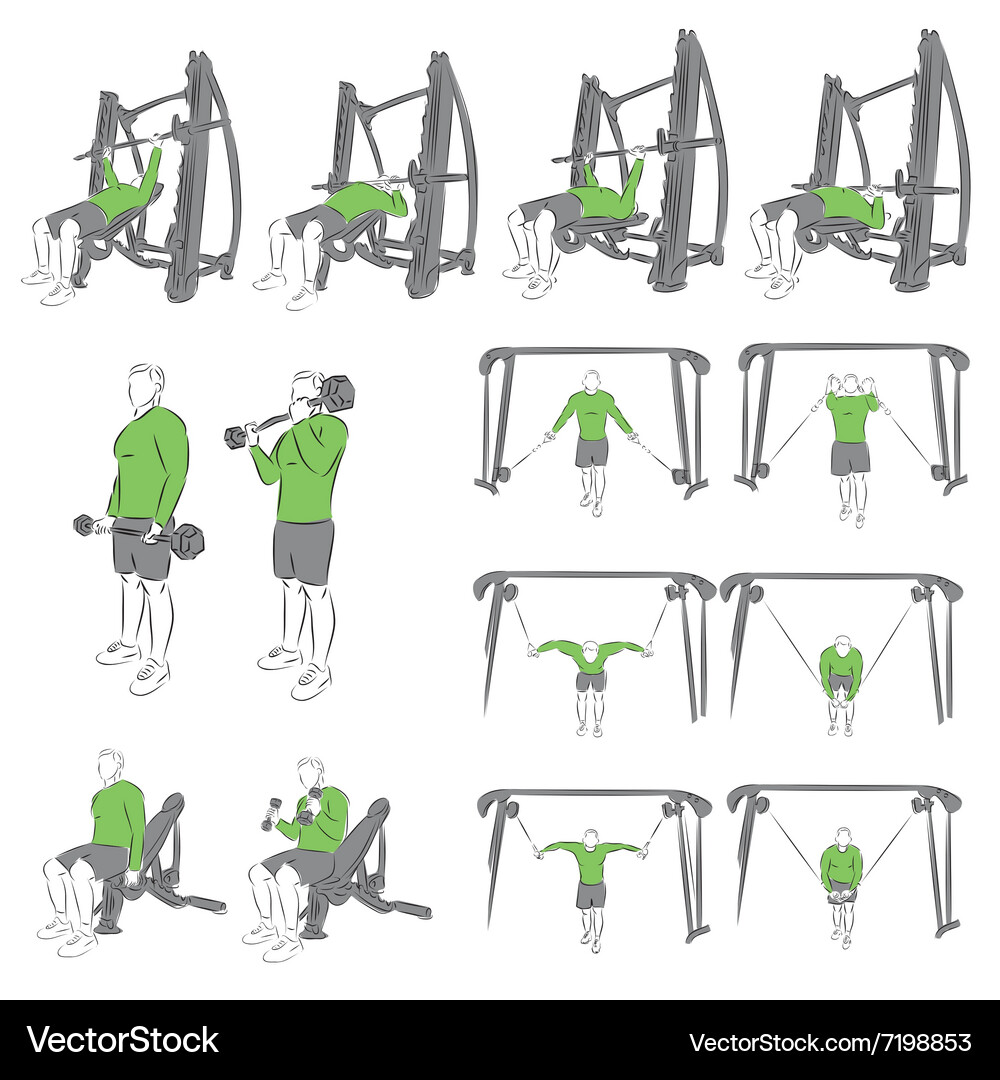 Set of systematic bodybuilding exercises Vector Image