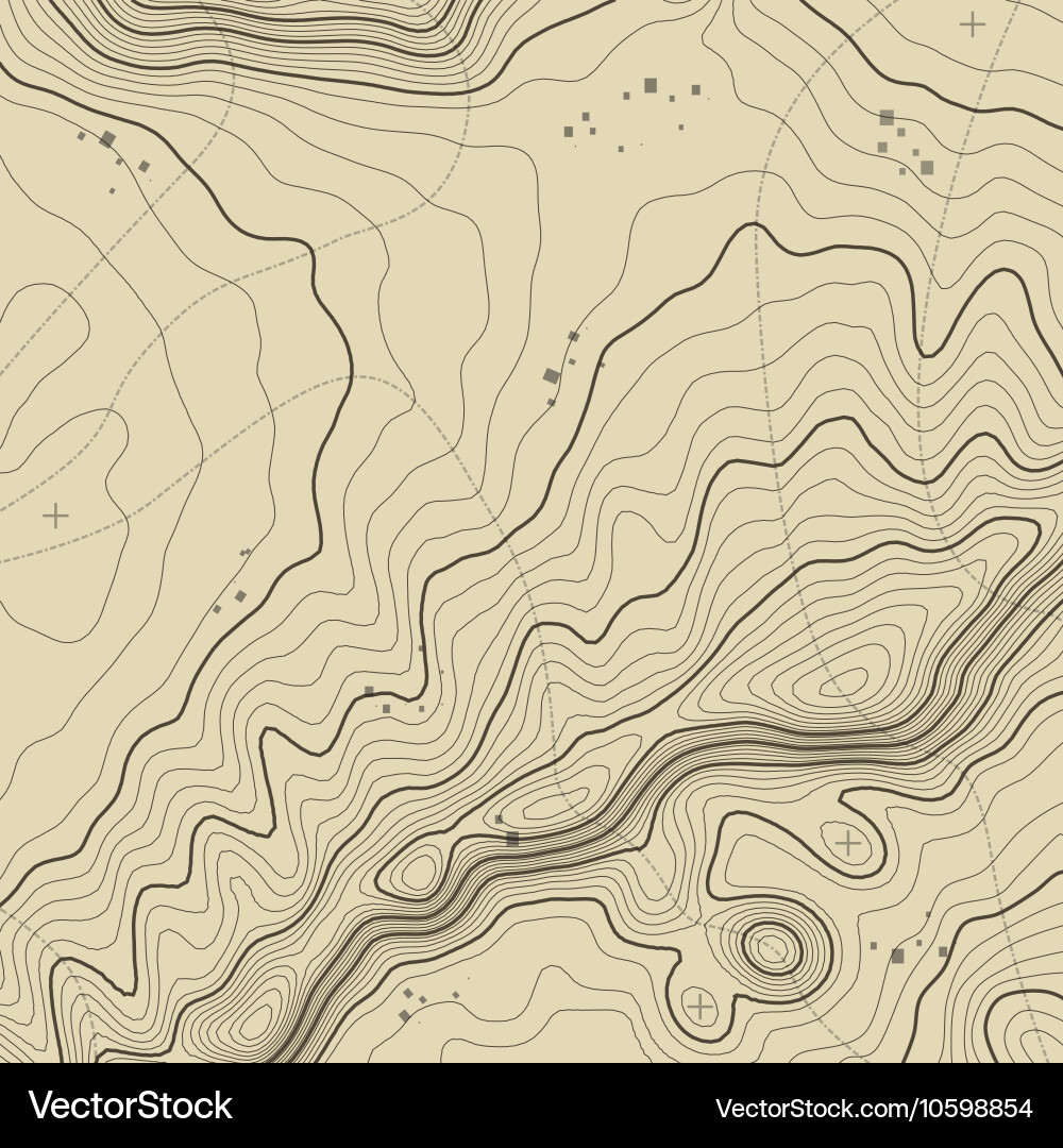 Topographic map background concept with space vector image