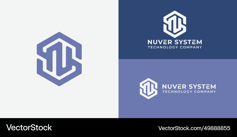 Abstract NS/SN Initial Logo - Hexagon Vector Image
