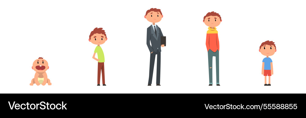 Man life cycle and aging stages set Man life cycle and aging stages set vector image