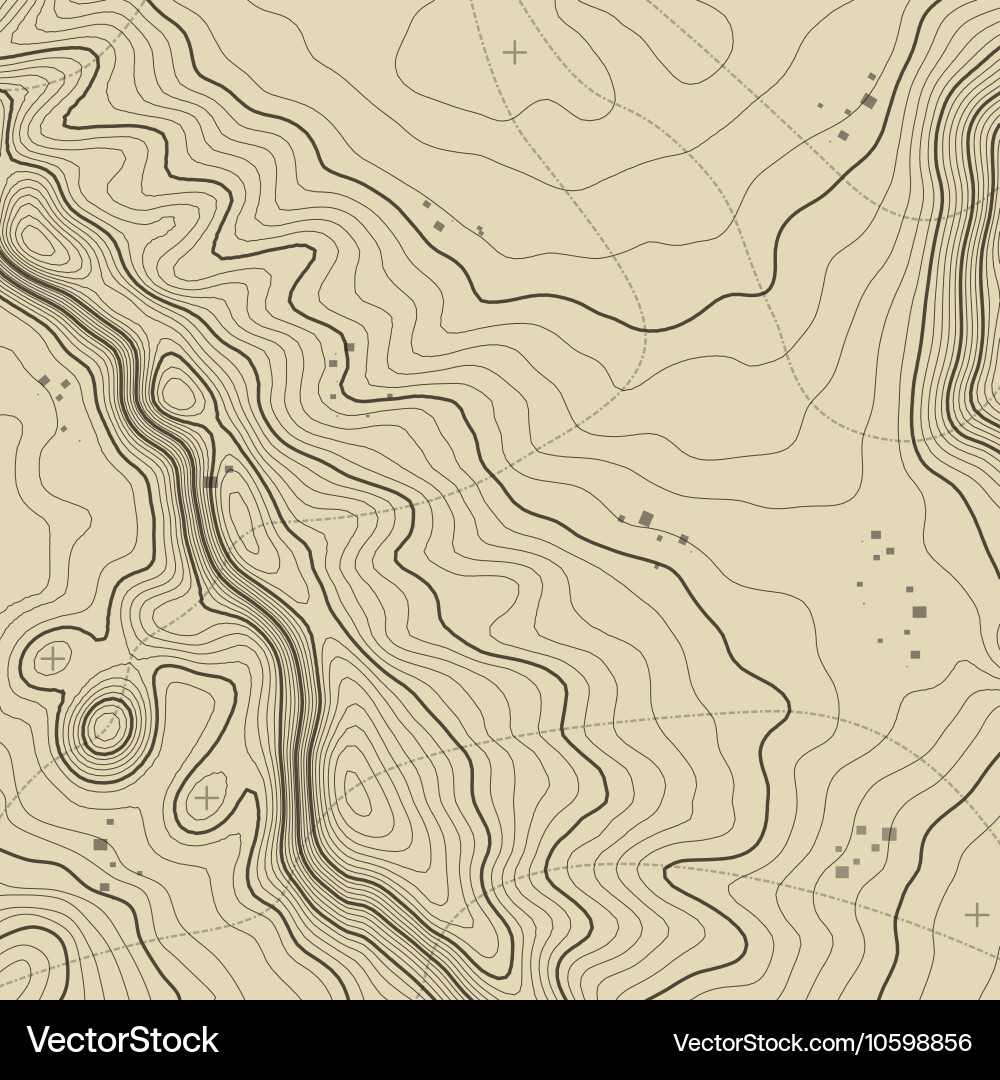 Topographic Map Pattern vector image