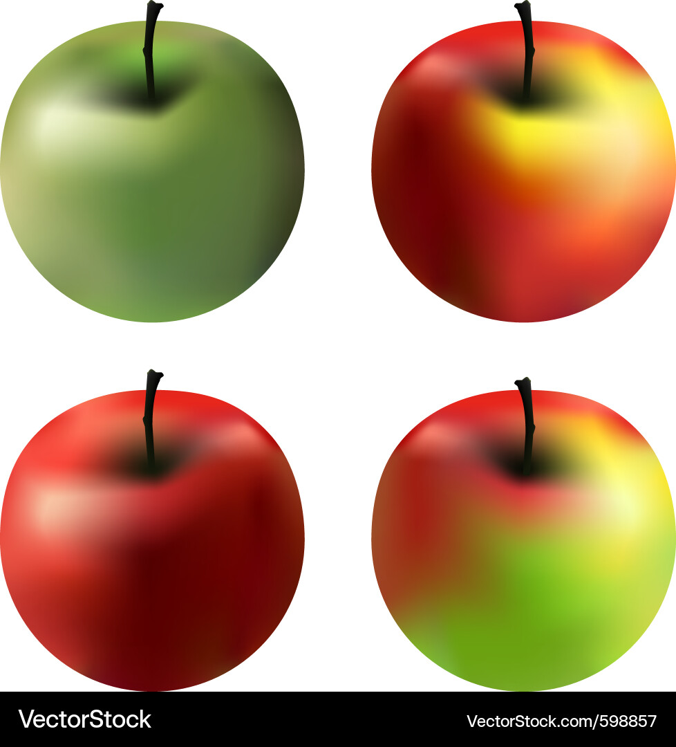 Gradient apples Vector Image