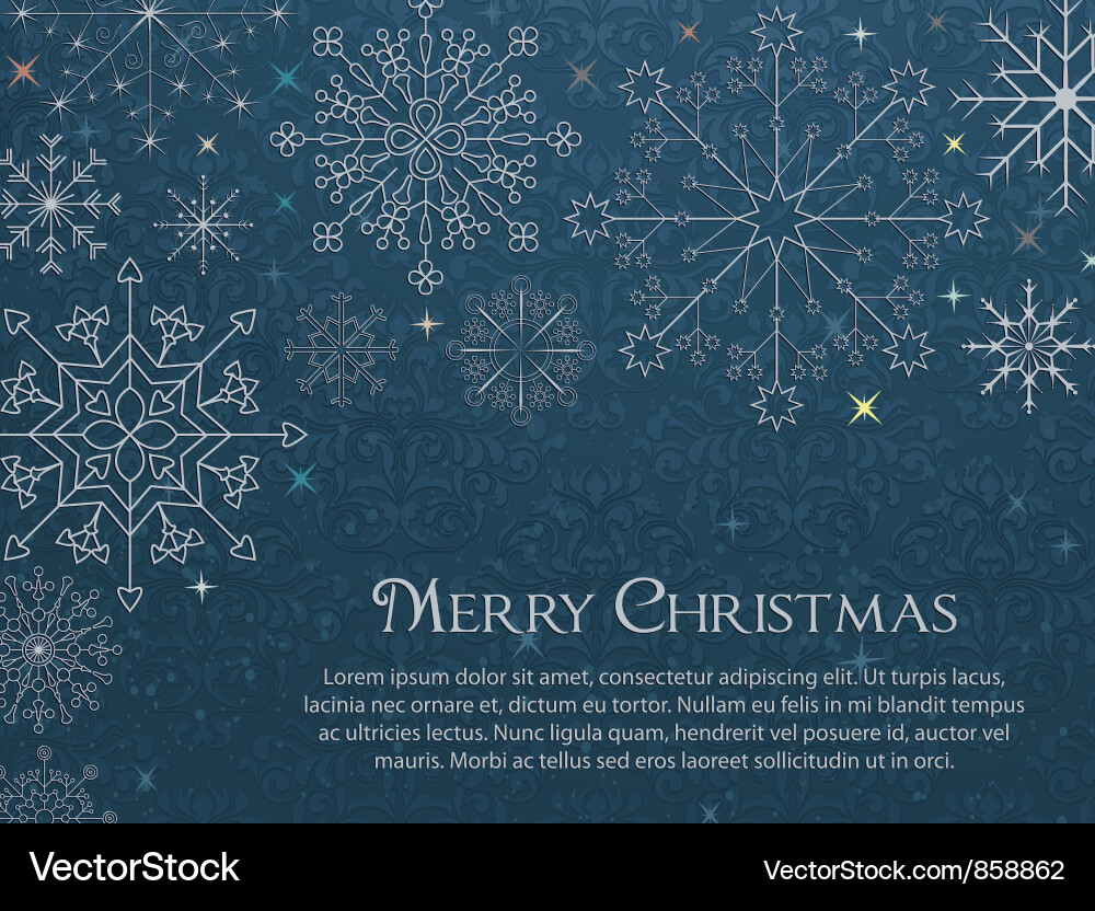 Ornate Winter Snowflake Card vector image