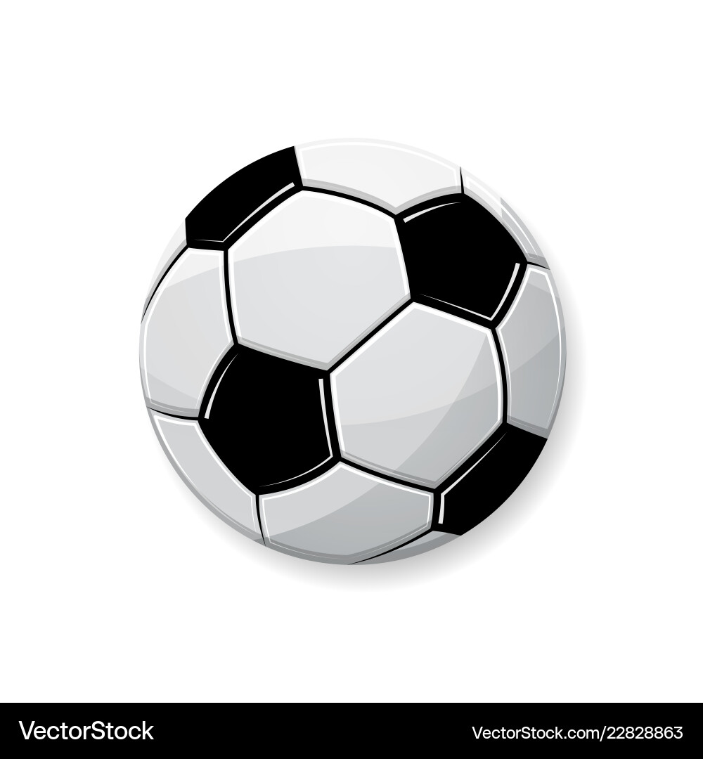 Football white symbol Football white symbol vector image