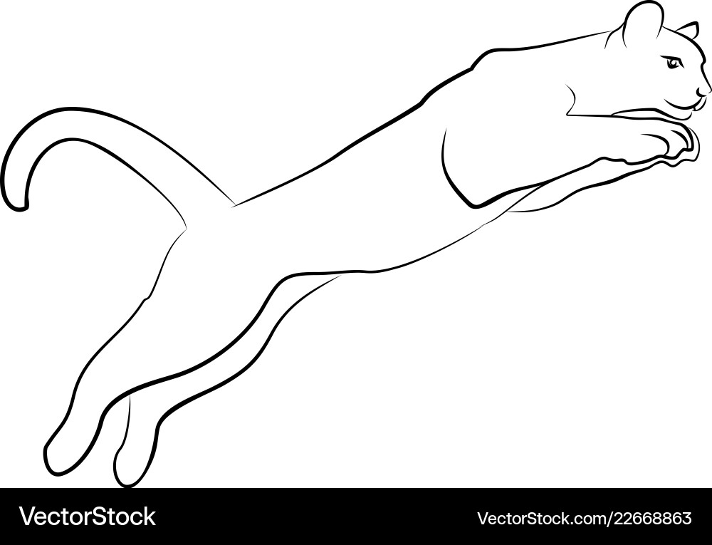 Sketch of cat in jump vector image