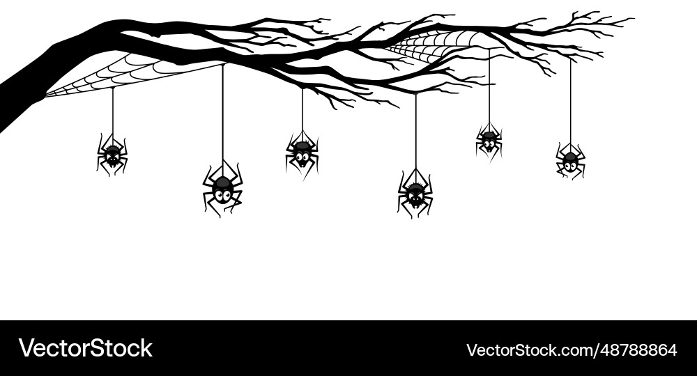Halloween spider border with tree branch and webs Halloween spider border with tree branch and webs vector image