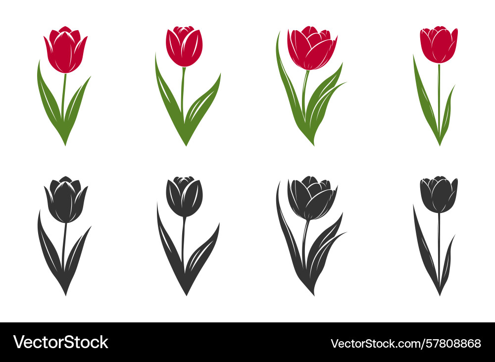 Design elements Vector Image