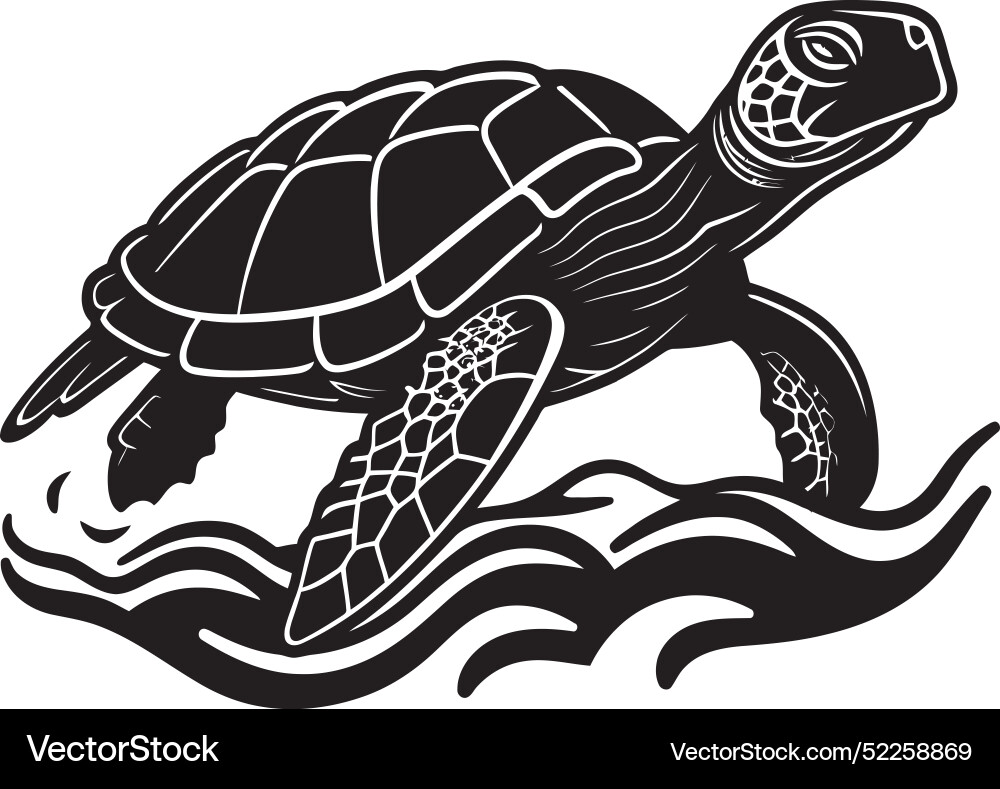Dynamic elegance in monochrome black turtle lines Vector Image