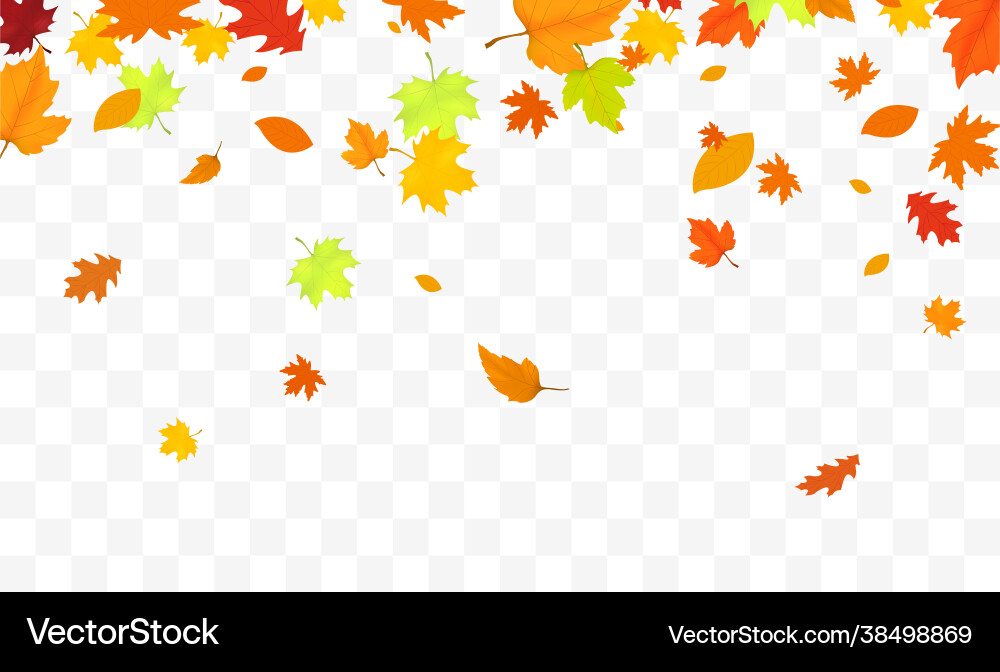 Herbst fallende Blätter isoliert Herbst fallende Blätter isoliert vektorbild