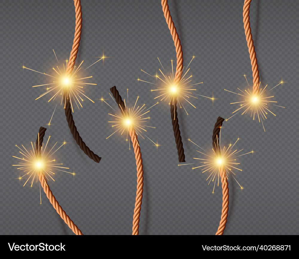 Realistic burning fire wicks lighted dynamite Vector Image