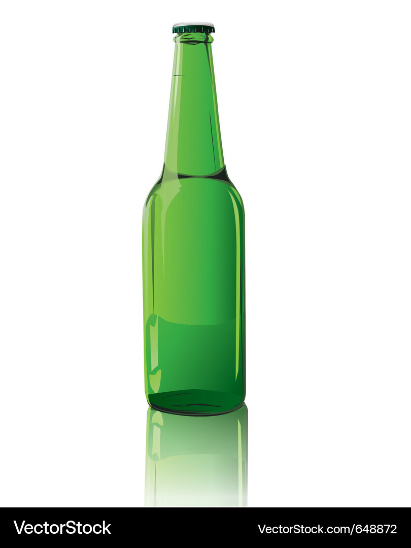 Assorted Beer Bottles Vector Image
