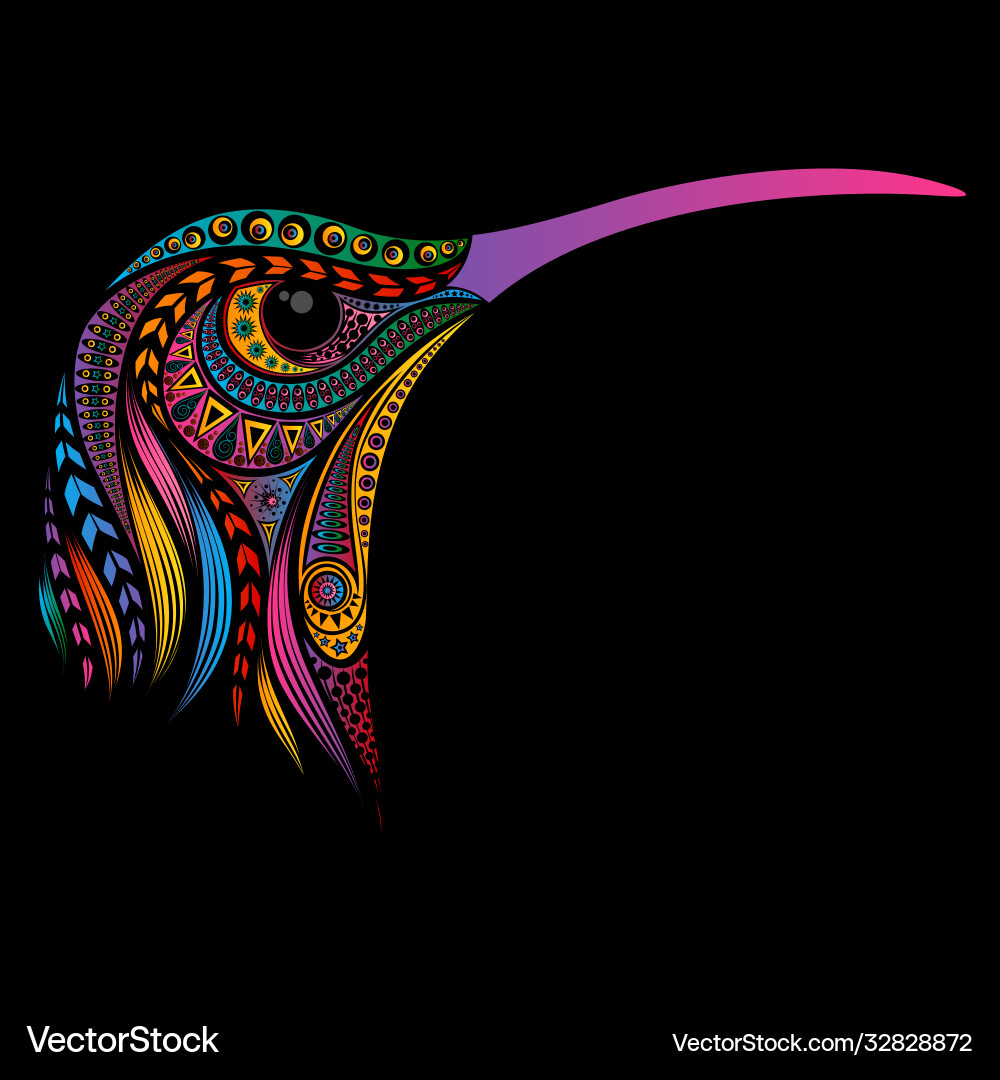 Colorful Hummingbird Pattern vector image