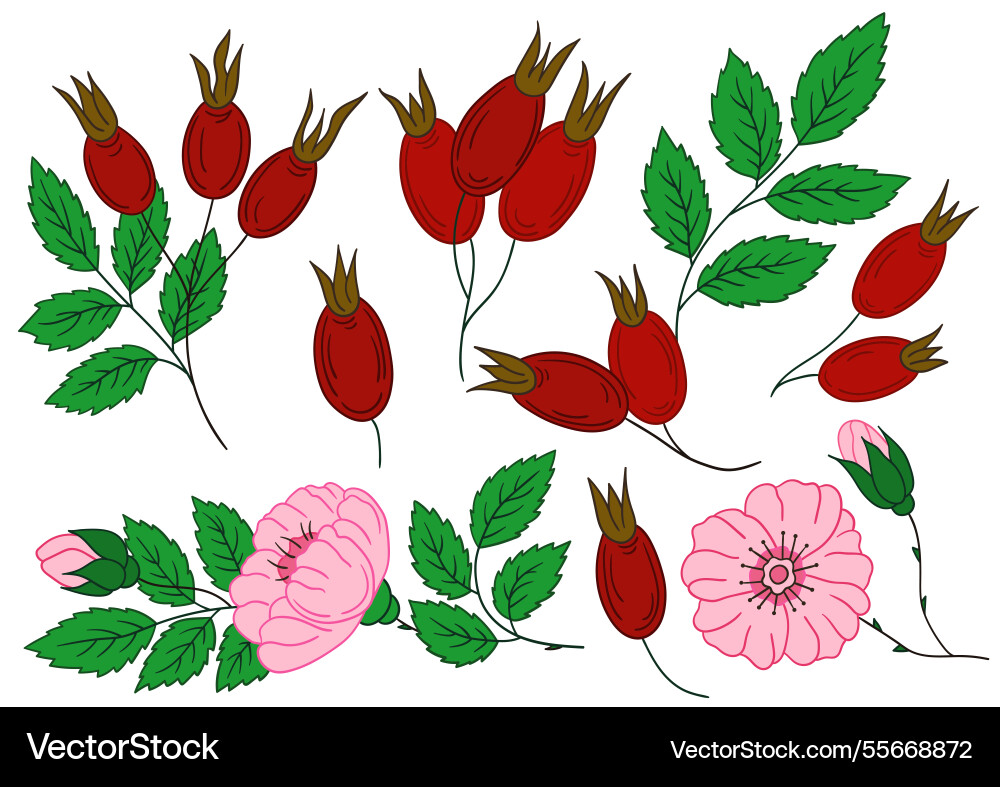 Set of color in hand draw style Vector Image