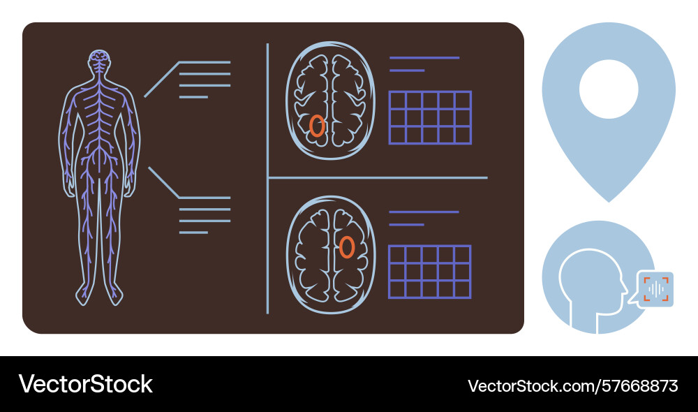 Human anatomy and brain scan with neural mapping Human anatomy and brain scan with neural mapping vector image