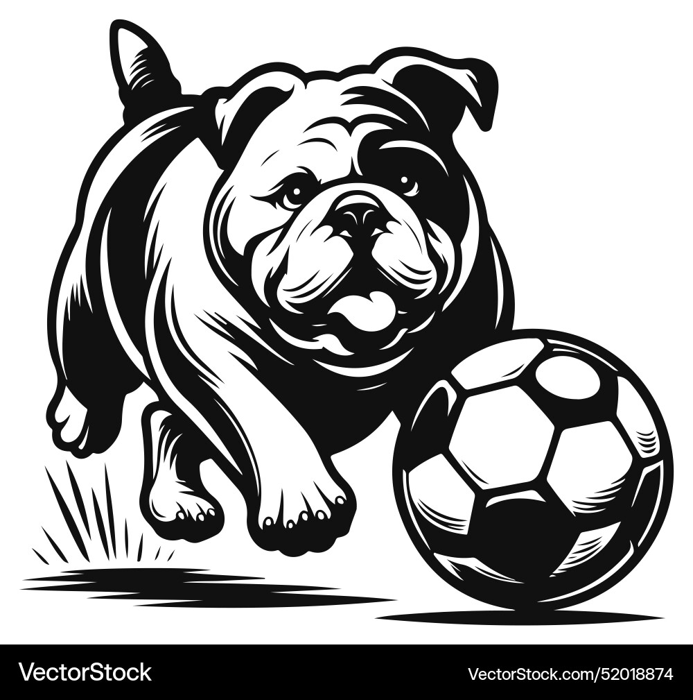 French bulldog fetching a ball silhouette design French bulldog fetching a ball silhouette design vector image