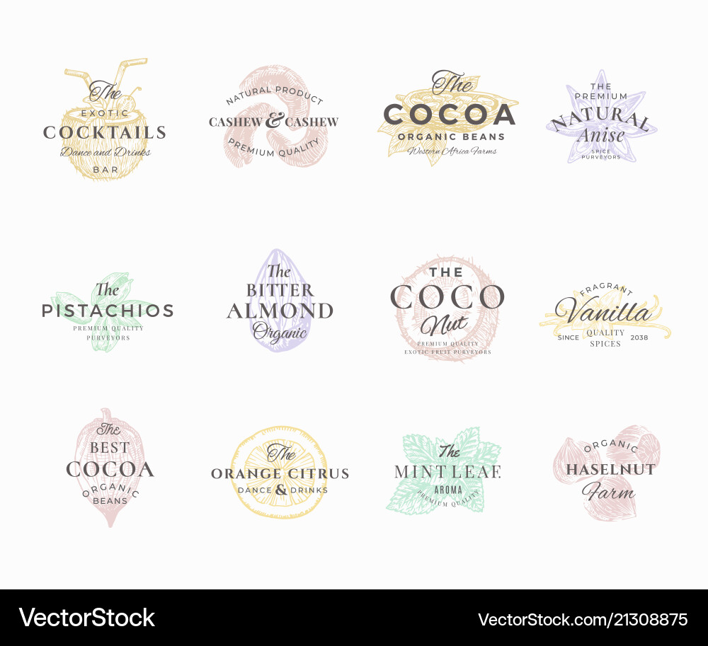 Premium qualituy nuts fruits and spices elegant Premium qualituy nuts fruits and spices elegant vector image