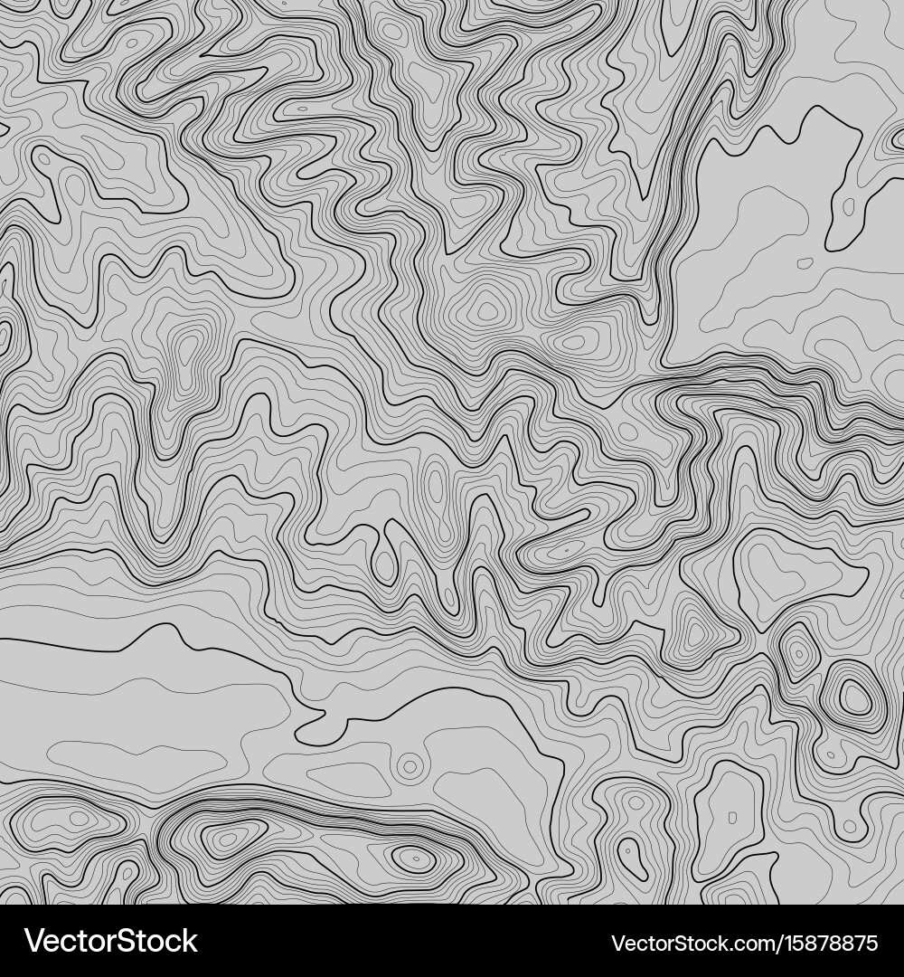 Topographic map background with space for copy Topographic map background with space for copy vector image
