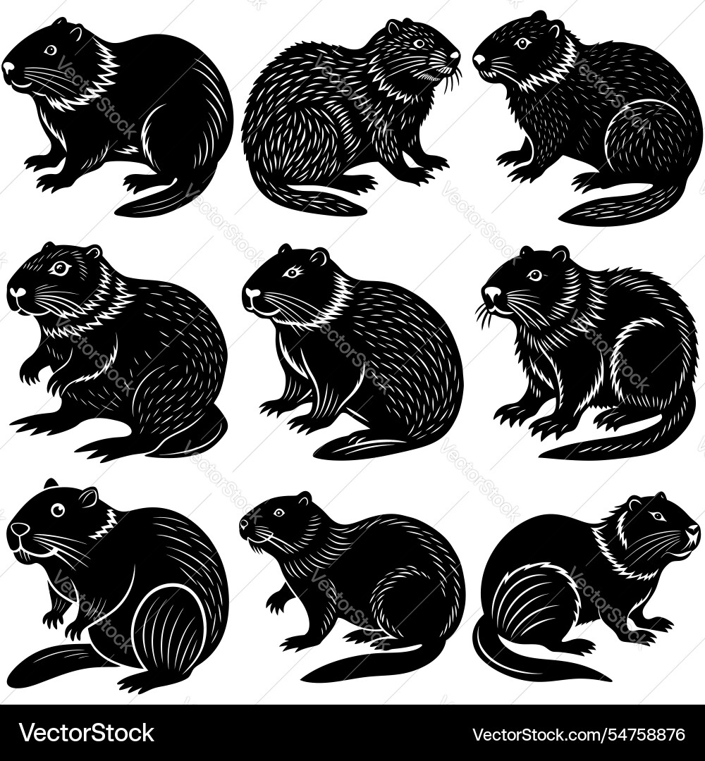 Funny beaver character in different actions big Funny beaver character in different actions big vector image