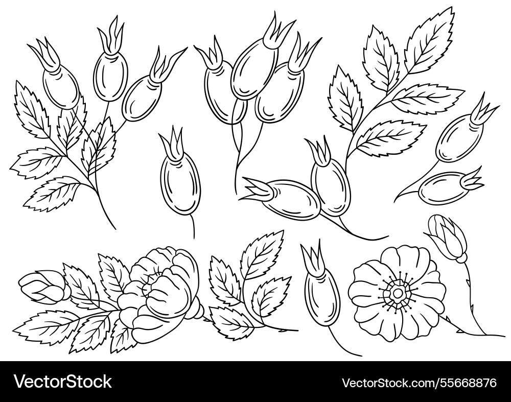 Set of color in hand draw style vector image